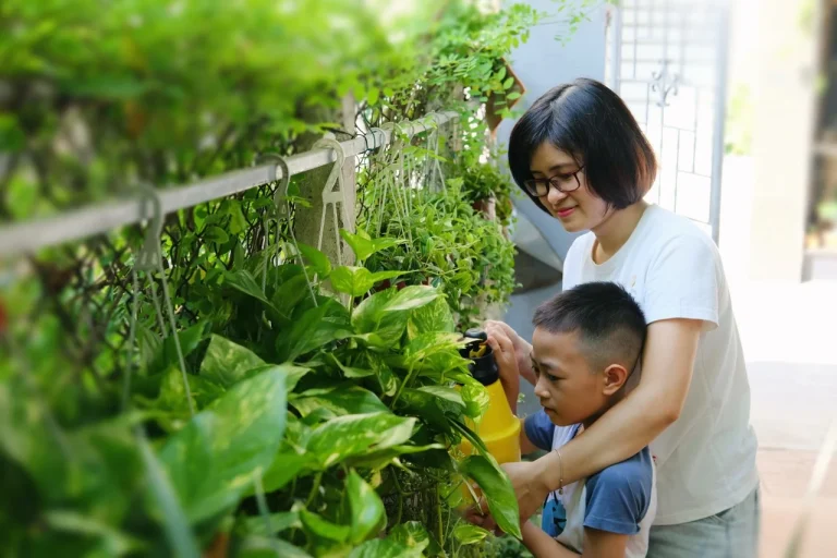 Cách Chăm Sóc Tiểu Cảnh Bonsai Để Giữ Dáng Đẹp Và Cây Khỏe